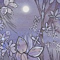 Night Garden